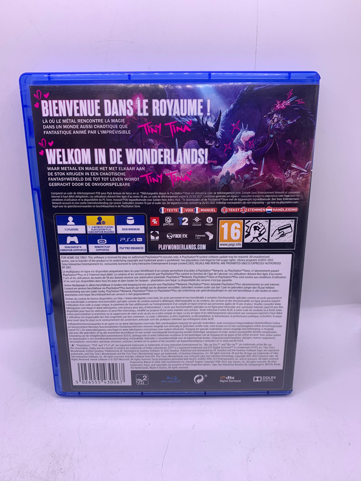 Tiny Tina’s Wonderlands – PlayStation 4
