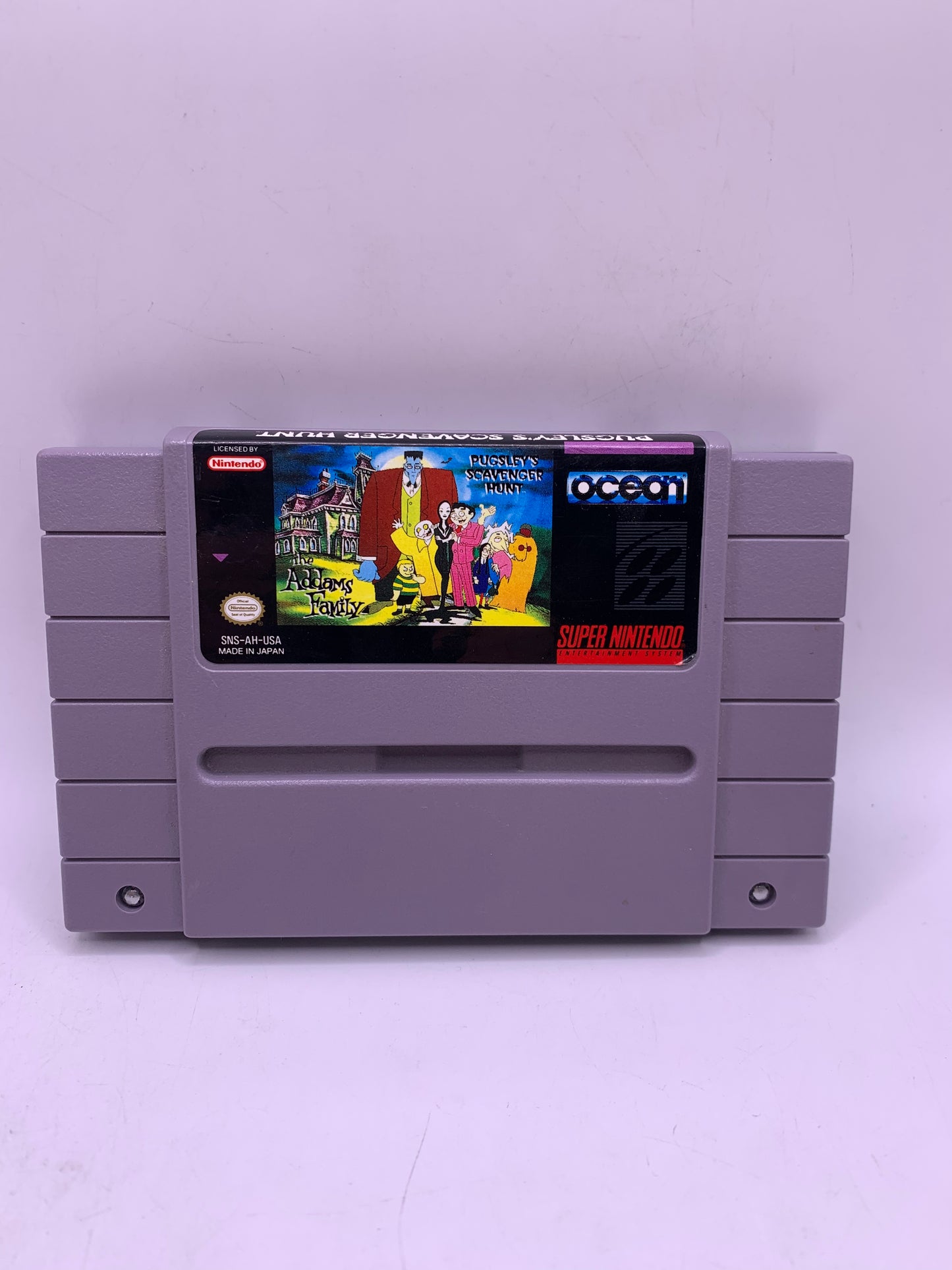 The Addams Family: Pugsley’s Scavenger Hunt - SNES