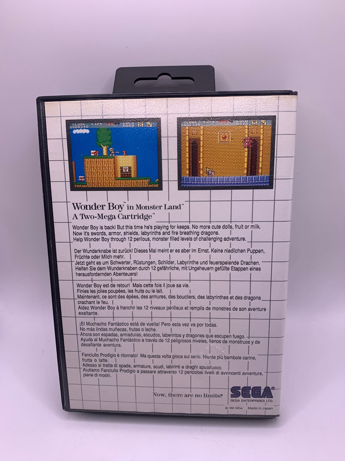Wonder Boy in Monster Land - Sega Master System