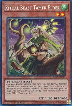 Ritual Beast Tamer Elder (V.6 - Collectors Rare) - Quarter Century Bonanza (Collectors Rare) [RA03-012]
