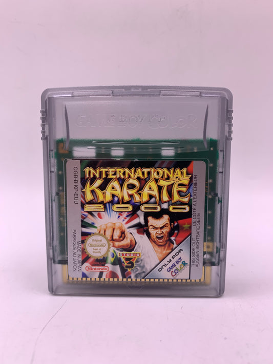 International Karate 2000 - Game Boy Color