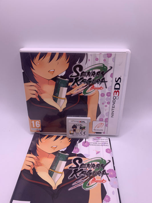 Senran Kagura: Burst – Nintendo 3DS