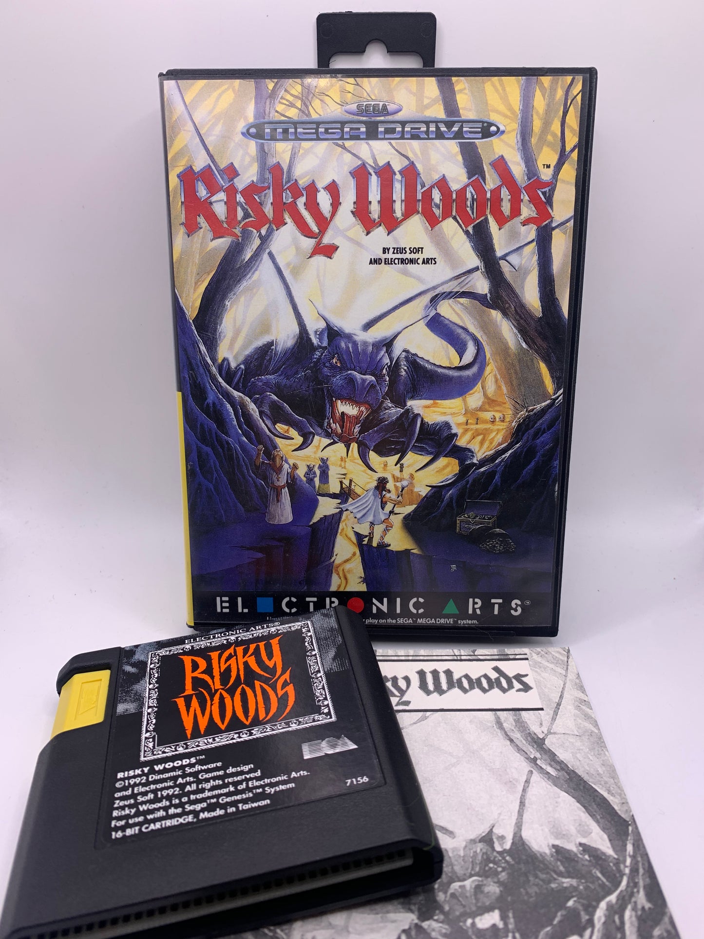 Risky Woods - Sega Mega Drive