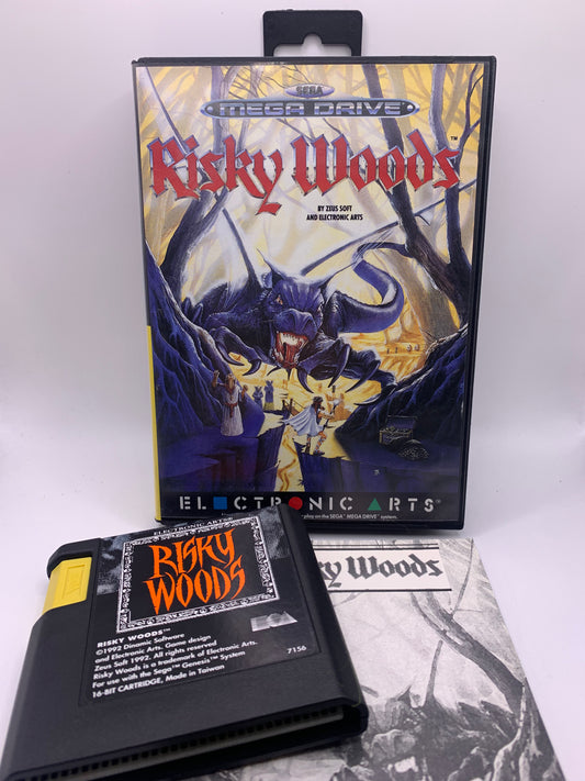 Risky Woods - Sega Mega Drive