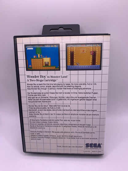 Wonder Boy in Monster Land - Sega Master System
