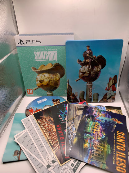 Saints Row: Notorious Edition – PlayStation 5