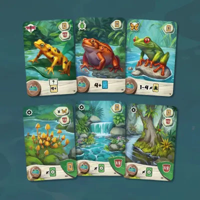 Pondscape - Kaartspel (NL) – Uitgepakt spel